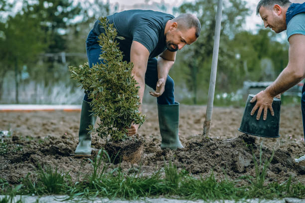 Best Tree Risk Assessment  in Garden City, KS