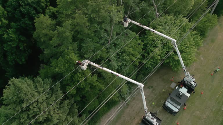 Best Tree Trimming and Pruning  in Garden City, KS