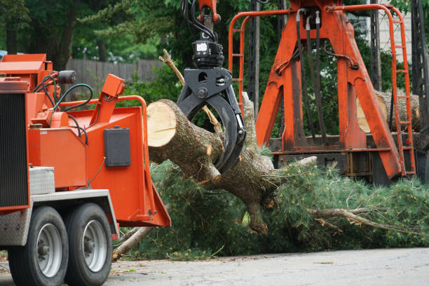 Best Tree Mulching  in Garden City, KS